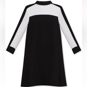 BCBGMaxArzia Colorblock Dress